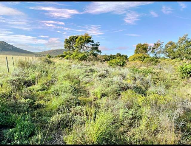 27HA VACANT LAND FOR SALE IN HUMANSDORP RURAL